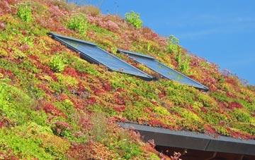 Mytchett living roof systems